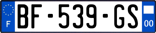BF-539-GS