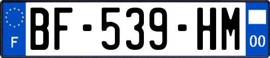 BF-539-HM