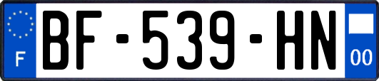 BF-539-HN