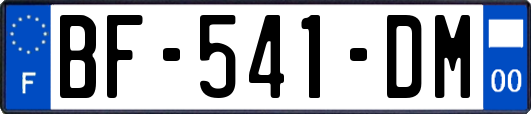 BF-541-DM