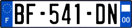 BF-541-DN