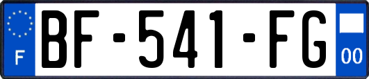 BF-541-FG