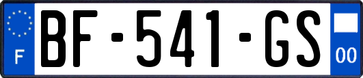 BF-541-GS