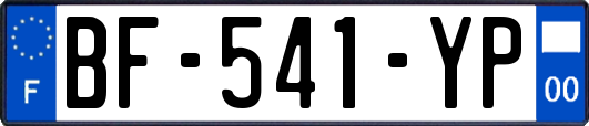 BF-541-YP