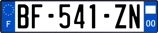 BF-541-ZN