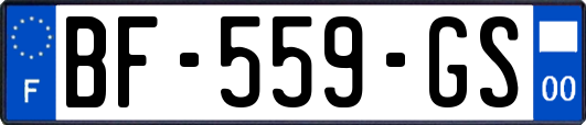 BF-559-GS