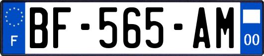 BF-565-AM