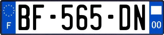BF-565-DN