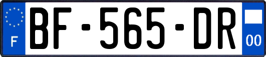 BF-565-DR