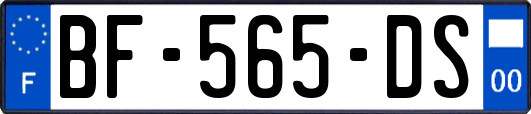 BF-565-DS