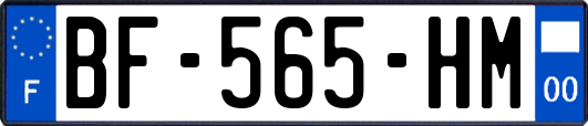 BF-565-HM