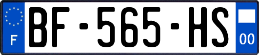 BF-565-HS