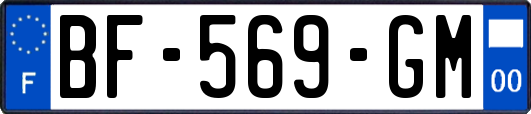 BF-569-GM