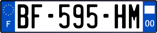 BF-595-HM