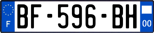 BF-596-BH