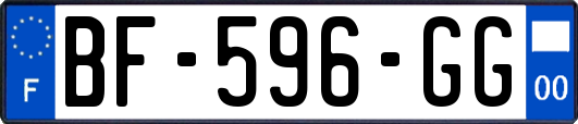 BF-596-GG