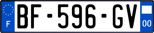 BF-596-GV