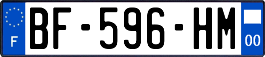 BF-596-HM