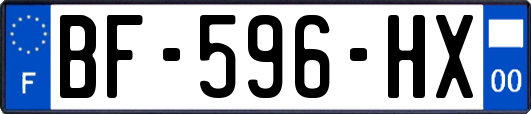 BF-596-HX