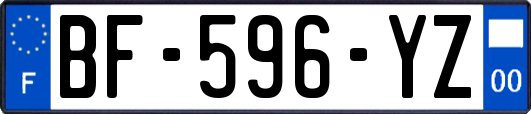 BF-596-YZ
