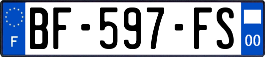 BF-597-FS