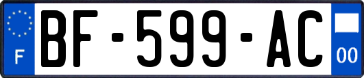 BF-599-AC