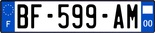 BF-599-AM