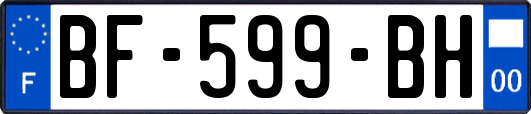 BF-599-BH