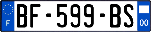 BF-599-BS