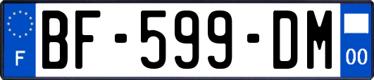BF-599-DM