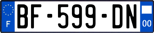 BF-599-DN