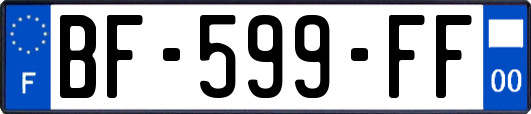 BF-599-FF