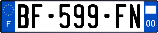 BF-599-FN