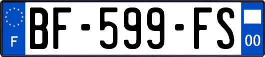 BF-599-FS