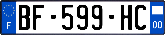 BF-599-HC