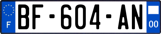 BF-604-AN