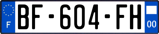 BF-604-FH