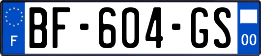 BF-604-GS