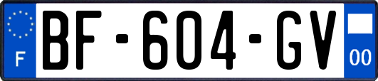 BF-604-GV