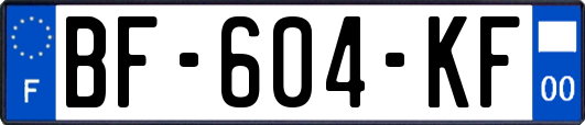 BF-604-KF