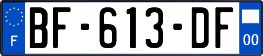 BF-613-DF