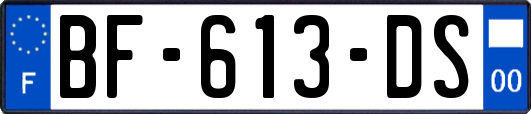 BF-613-DS