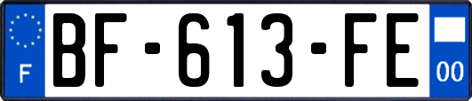 BF-613-FE