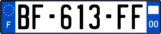 BF-613-FF