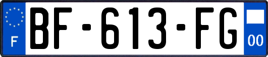 BF-613-FG