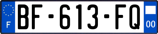 BF-613-FQ