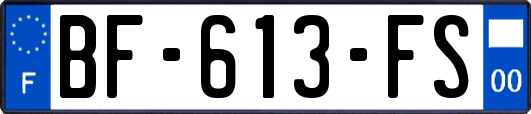 BF-613-FS