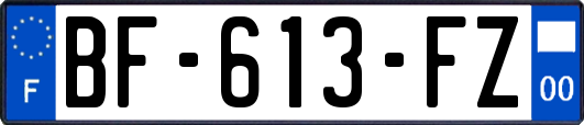 BF-613-FZ