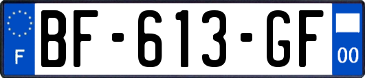 BF-613-GF