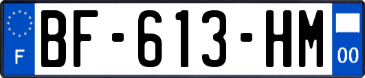 BF-613-HM